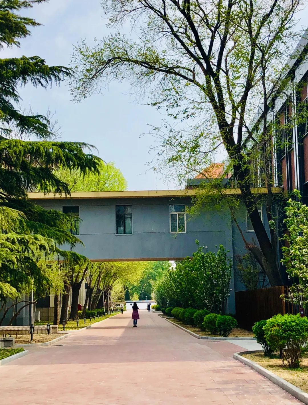 美丽的人民日报大院，我们温暖的家