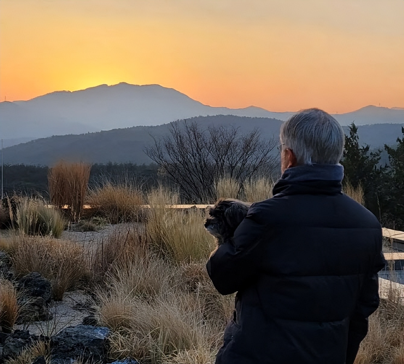 韩国总统文在寅夫人今年多大岁数,韩国前总统文在寅的个人简历