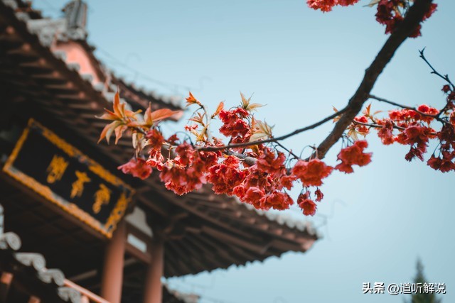 李娜出家后在五台山唱的第一首歌,李娜出家五台山后第一次演唱会