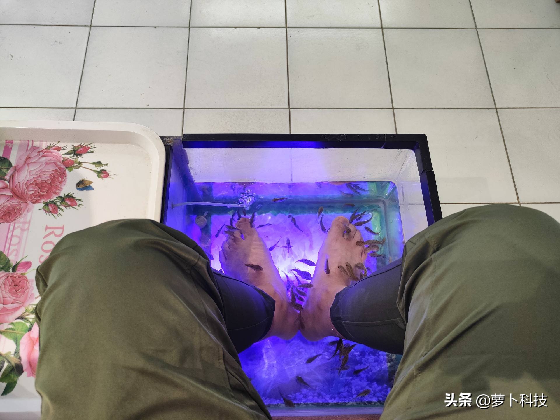 莫里尼x-cape650,x-cape650