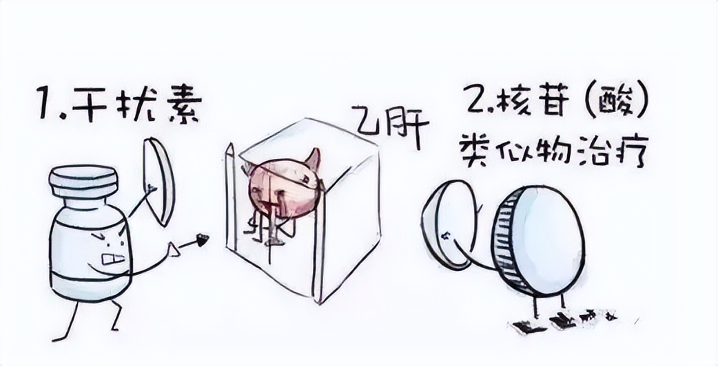 乙肝治疗中医生最希望的结果,乙肝完全治愈路上的两大关卡