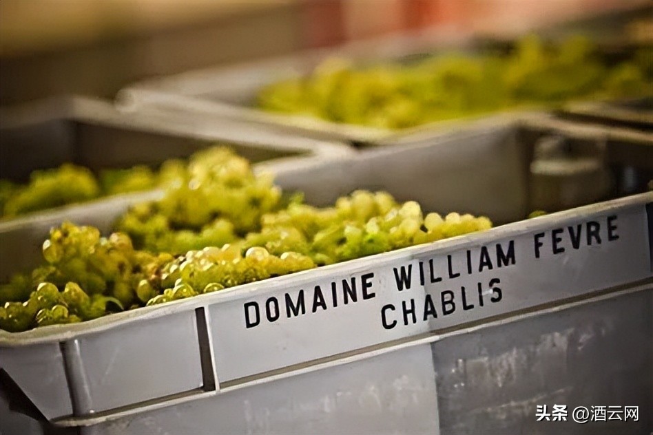 稀罕事儿,拉菲收购了哪些酒庄