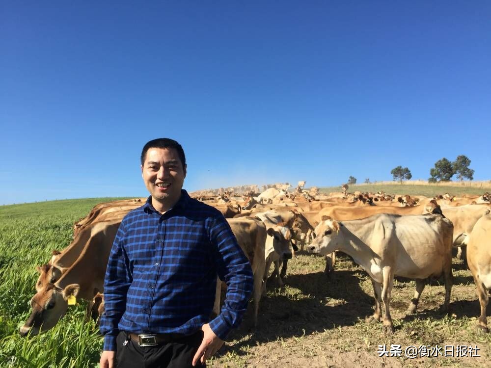 坦图思慕尔小分子奶粉测评,何康辉