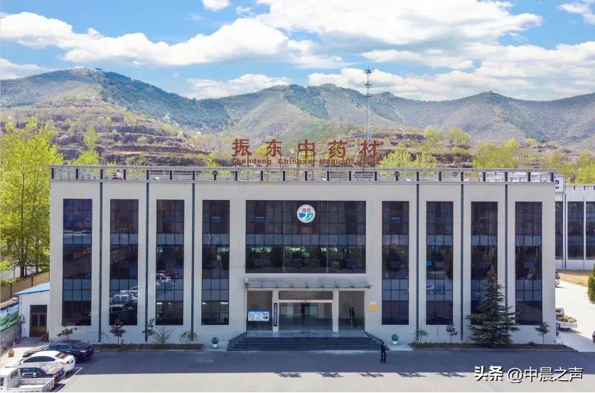 山西振东集团被罚最新消息,山西振东集团年产值