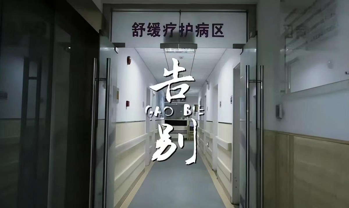 人间世纪录片关于癌症,上海人间世纪录片癌症