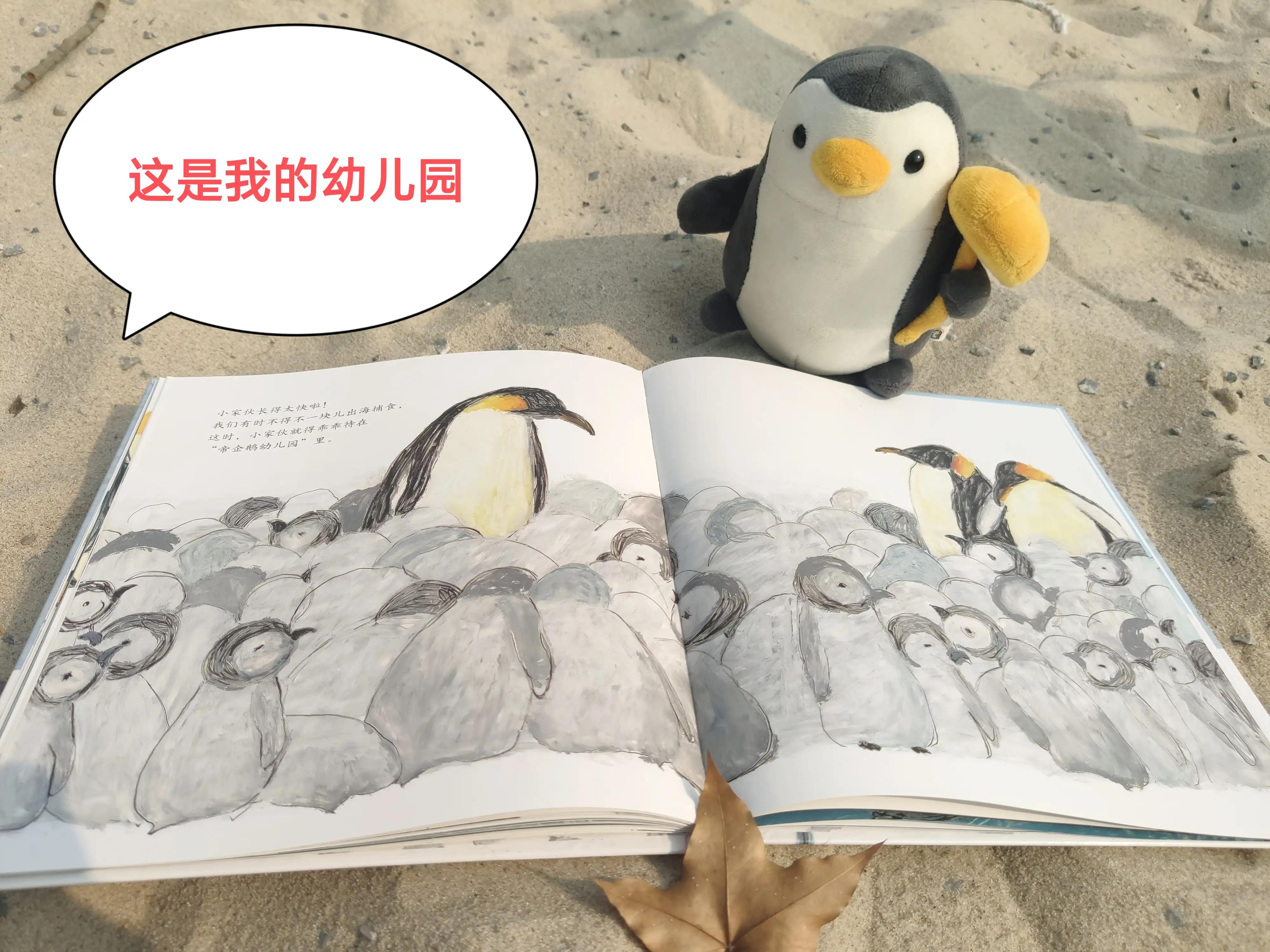 帝企鹅歌曲原唱,帝企鹅谈恋爱