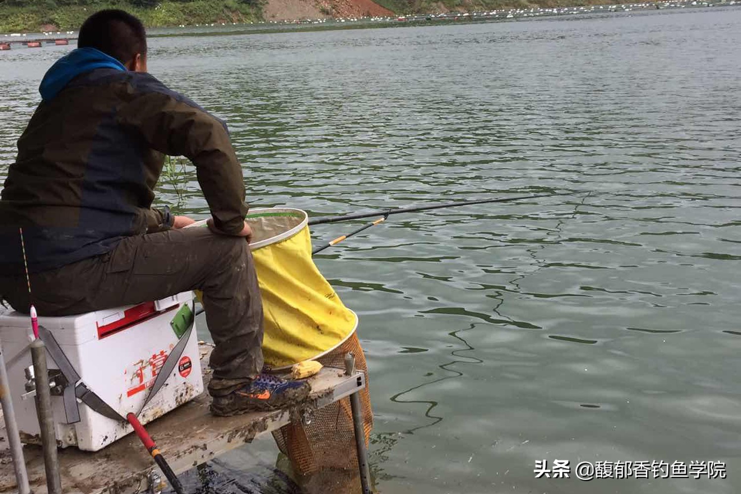 为什么钓鱼大师都钓的好,水库钓鱼和黑坑区别