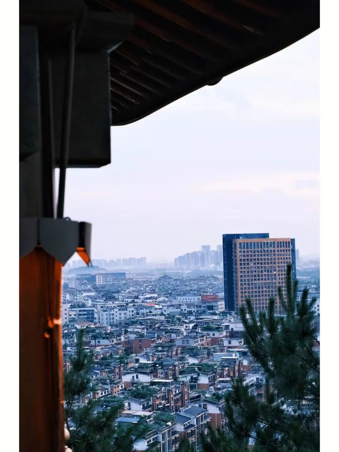 这座被赚钱耽误的浙江小县城，藏着无数吃货惦记的世界美食