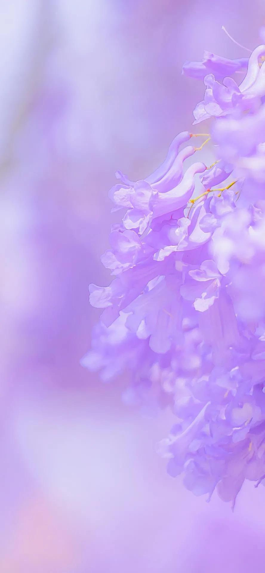 湛蓝的海水海滩风景高清壁纸,高清壁纸8k全屏无水印风景