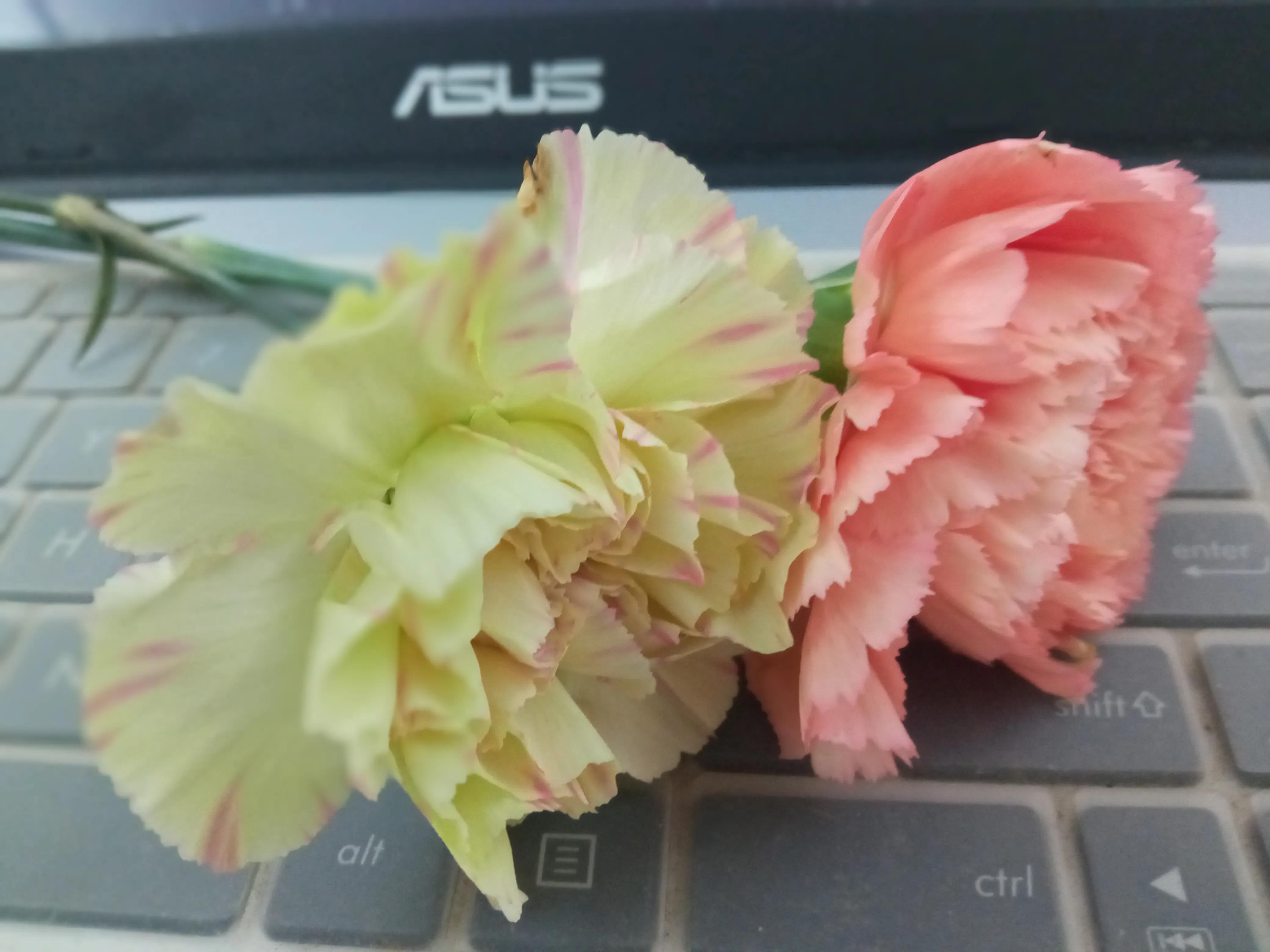 分享你孩子的迷惑行为,曝光自己小孩缺点该怎么发朋友圈