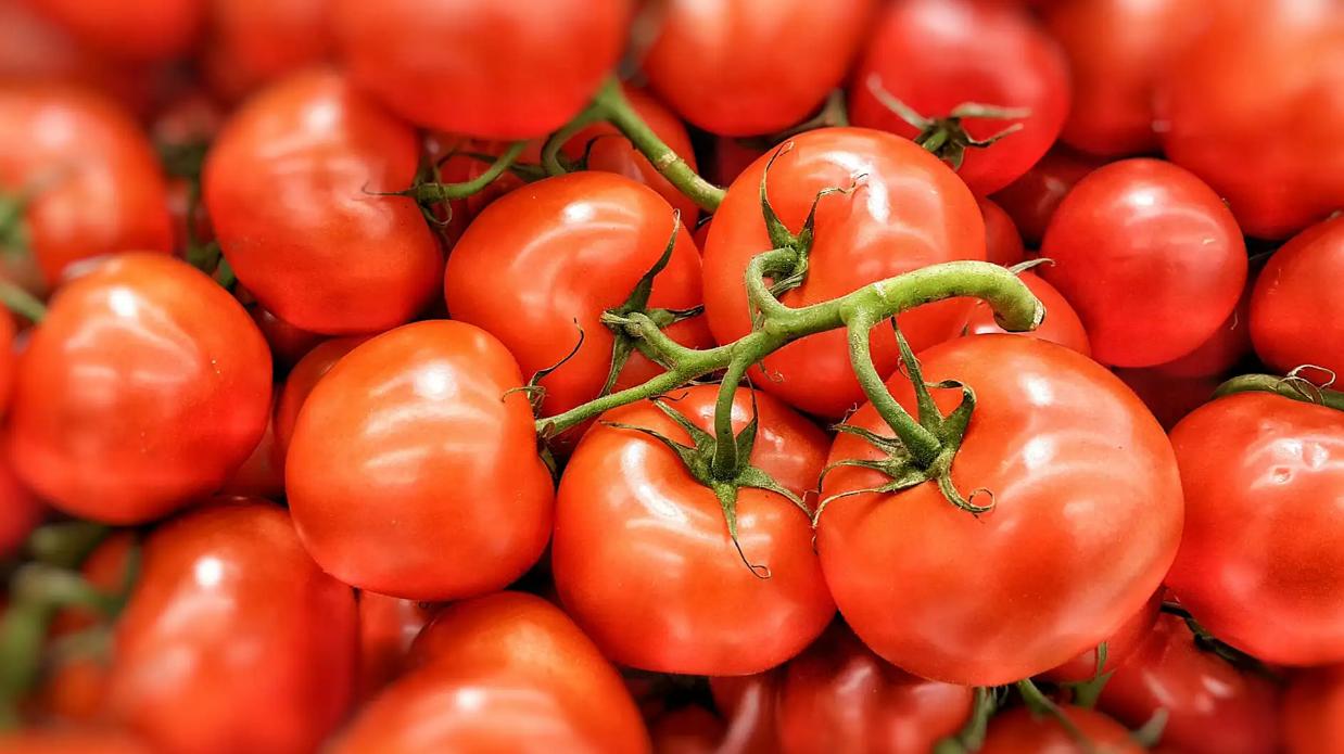 供血不足微循环不好吃什么食物好,脑供血不足头晕吃什么食物能缓解