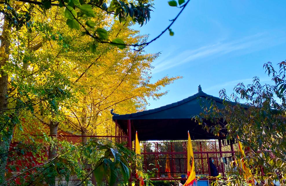 看赵云庙感受,赵云庙景区简介图片欣赏