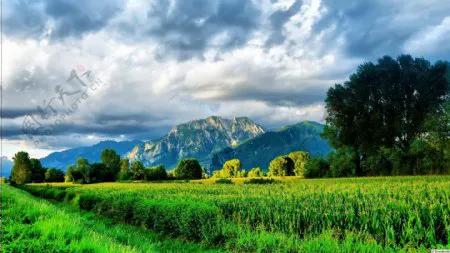 古诗春日朗诵视频,春日古诗作品欣赏