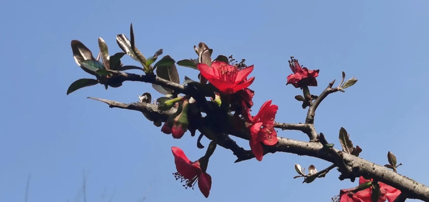 第4周：你若盛开，清风自来，你若努力，就会有收获