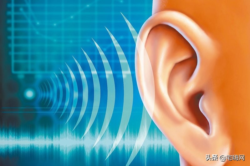 林道夫功放2170与林道夫3400区别,林道夫2175功放怎么样