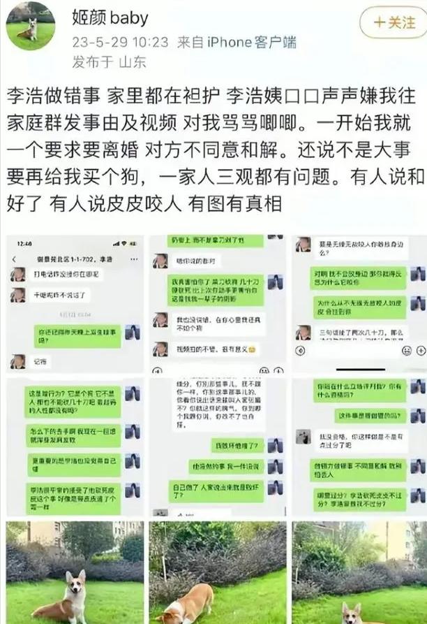 砍杀狗事件处罚,家暴杀狗事件