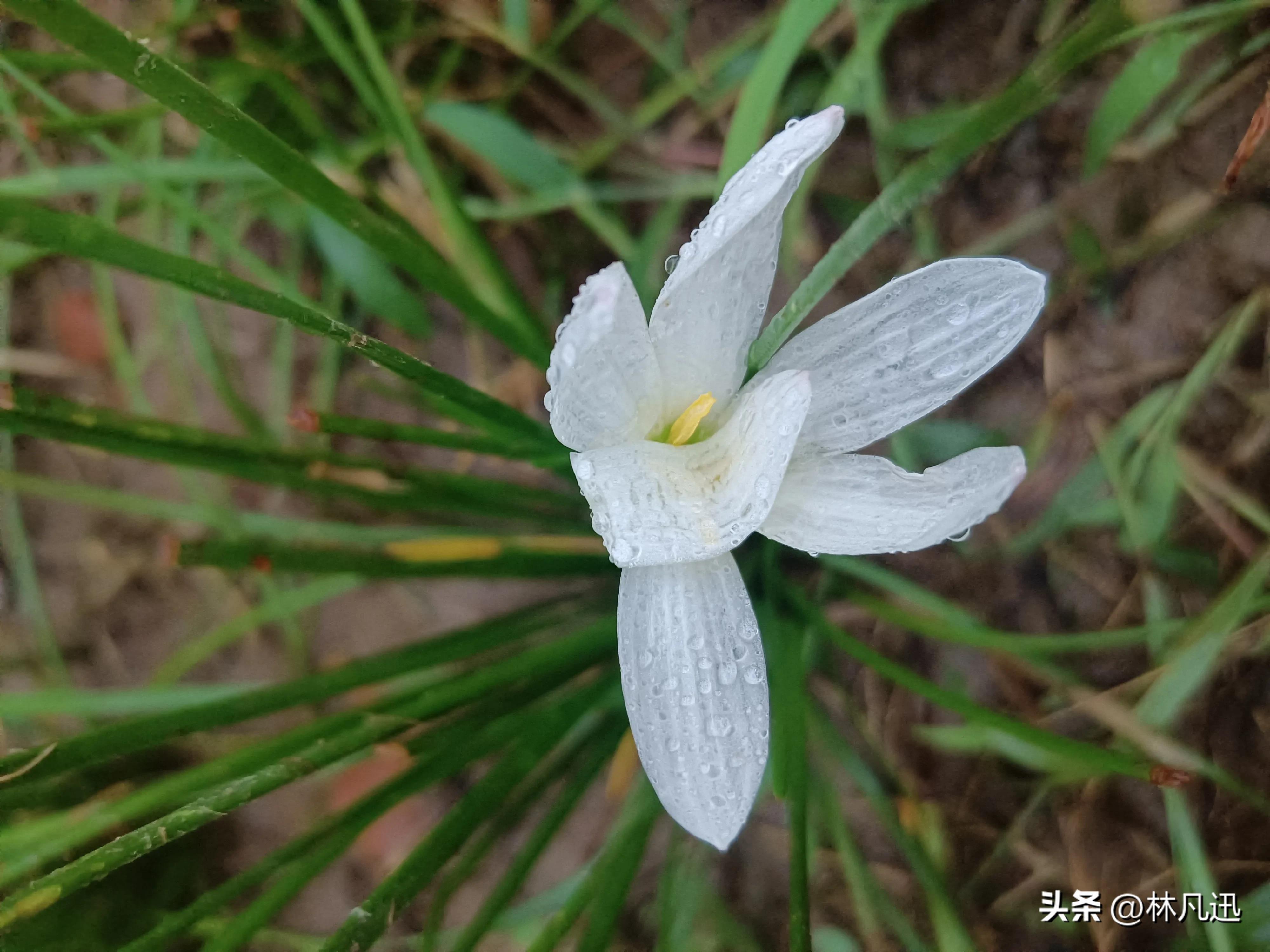 轻指数重个股怎么理解,重板块轻指数选龙头