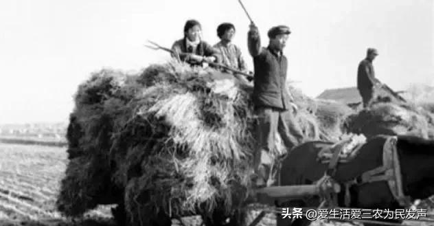 交公粮农民辛酸的诗词,交公粮时候农民苦吗