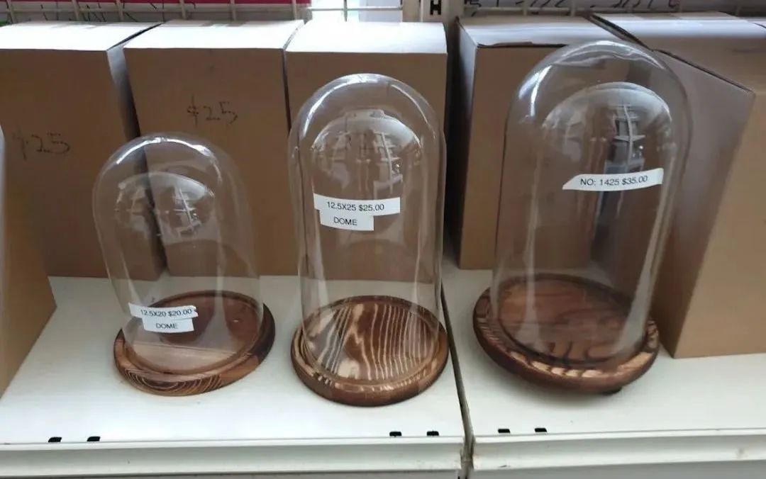 鲜花在水里能养几天会死,新加坡盆栽花卉怎么养