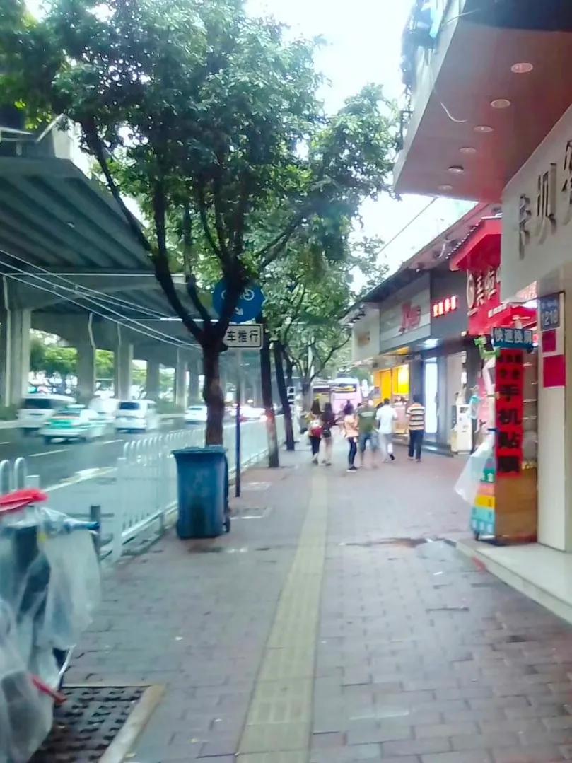 瓦尔登湖是一个美丽的地方,宁静的瓦尔登湖