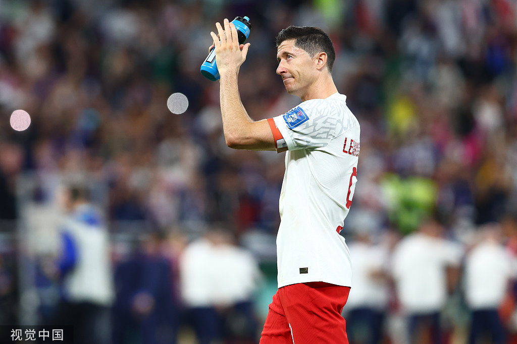 世界杯莱万多夫斯基追姆巴佩,莱万多夫斯基欧洲杯绝唱