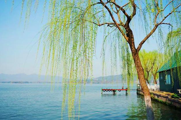 贺知章关于春天的诗句,贺知章有哪些写春天的诗