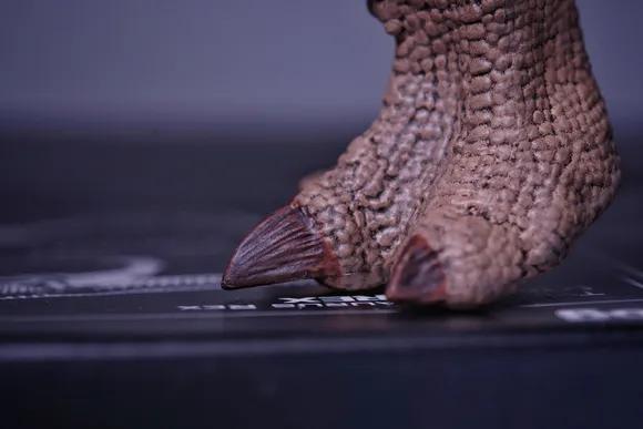 恐龙模型测评t-toy双脊龙jp版,安利亚恐龙模型镰刀龙