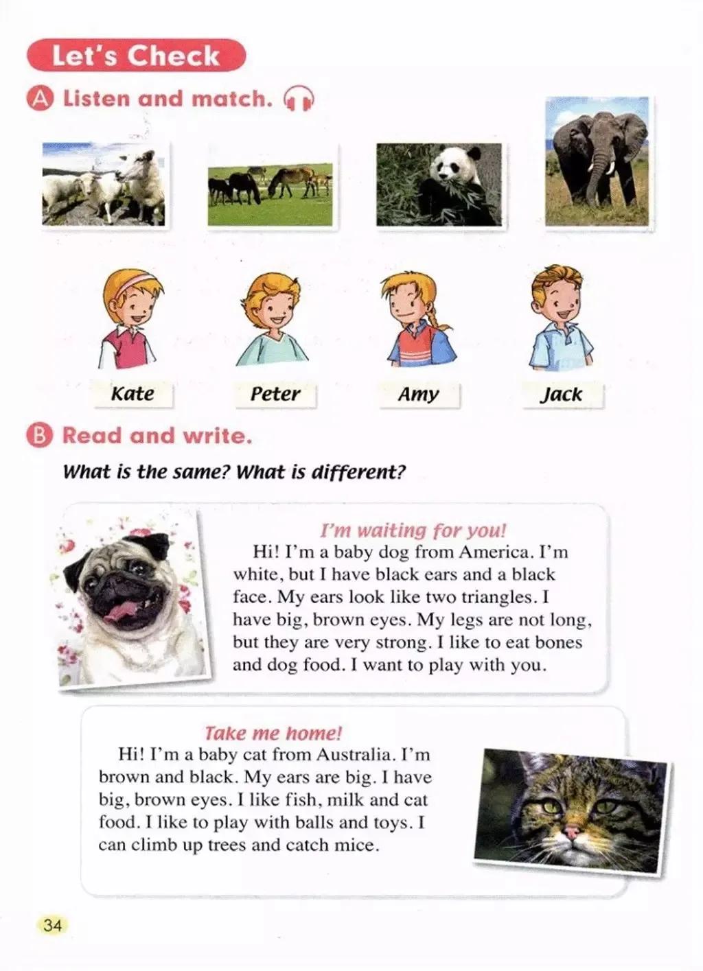 小学英语五年级上册人教版新起点,人教版小学英语五年级上电子教材