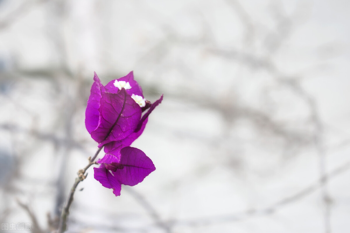 问号的内涵,问号的认识