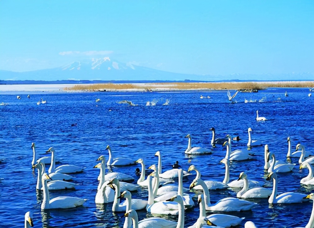 安泰体能训练馆,千米特训户外拓展基地