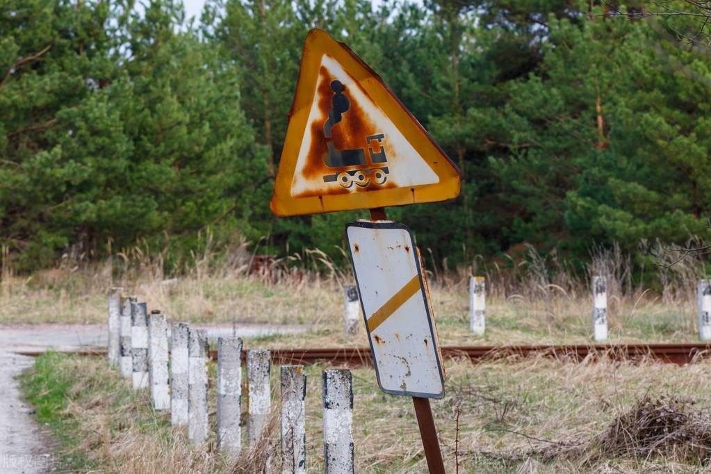 核事故的危害,核事故幸存者