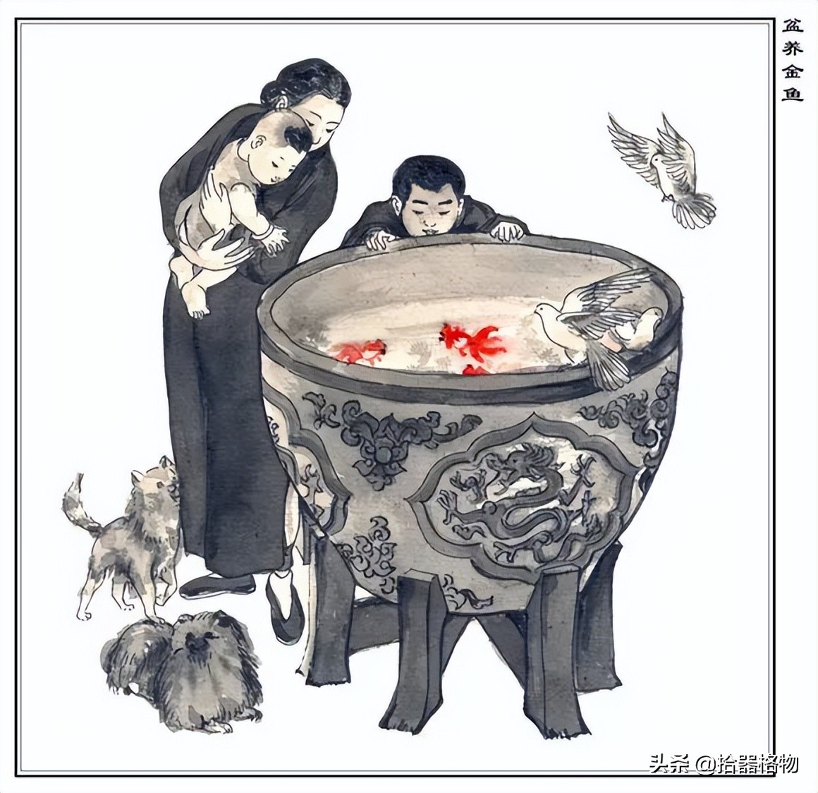 古代养金鱼怎么养活的,来谈一谈古人是如何养金鱼的