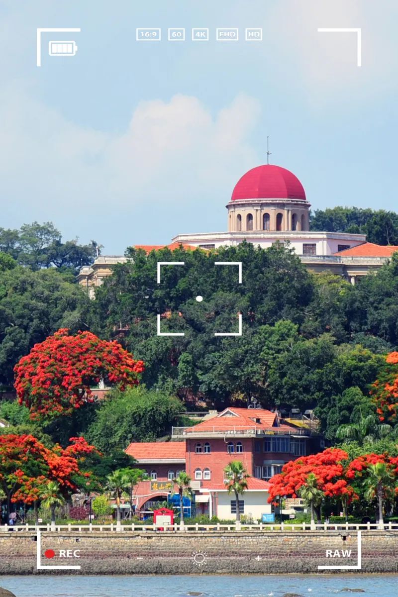 在鼓浪屿,在鼓浪屿是一种什么体验