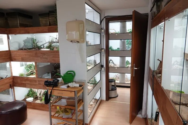 「原来欧洲有这么多种蛇？！」偷师卡塞尔的豢龙大师·下