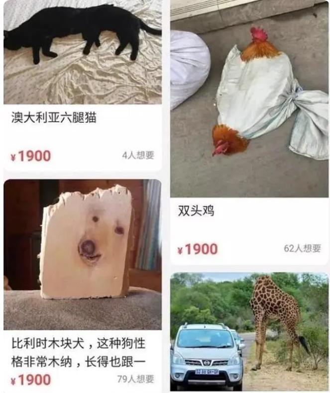 卫星上架淘宝老外的反应,淘宝上架国产卫星