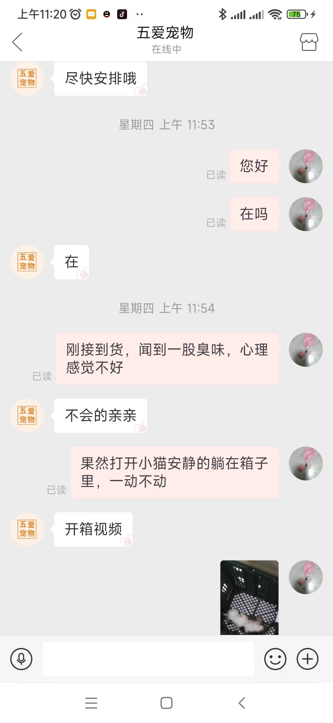 网上买的猫死亡了商家如何处理,在网上买猫咪死了怎么办