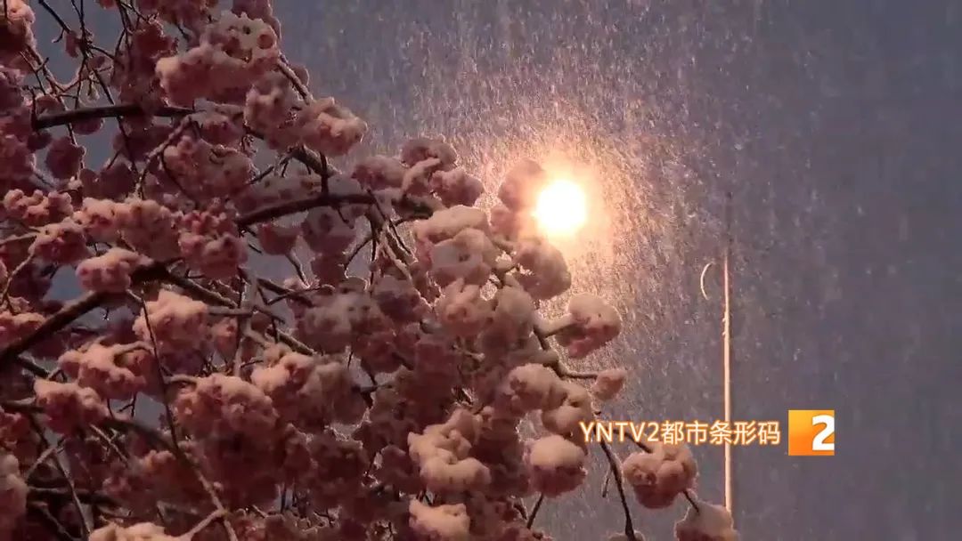 昆明今日迎来降雪图片,昆明迎来降雪高速路