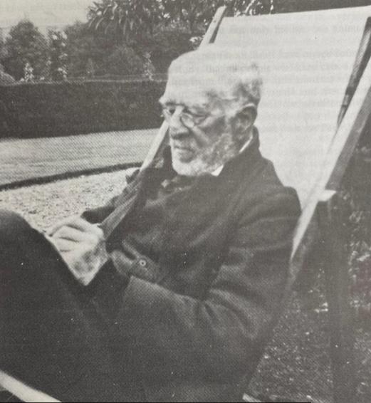 顶级猫奴！天才画家用余生为亡妻画猫，却被送进精神病院…