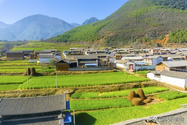 美丽乡村绘画,美丽乡村1-45集免费