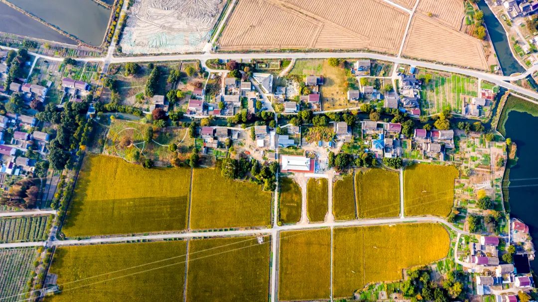 乡村振兴100讲全集,100个经典乡村振兴案例