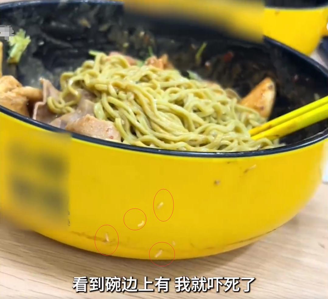 麻辣烫碗边爬满虫,门店回应麻辣烫碗边爬满蛆虫