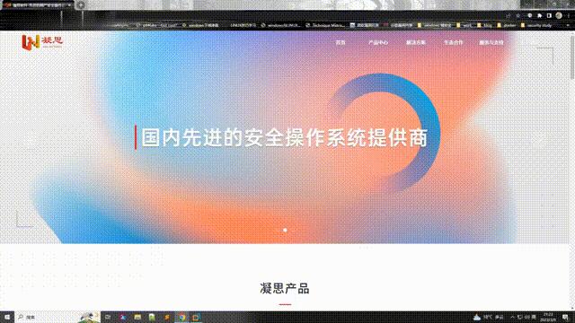 凝思操作系统内核,凝思安全操作系统指哪些系统