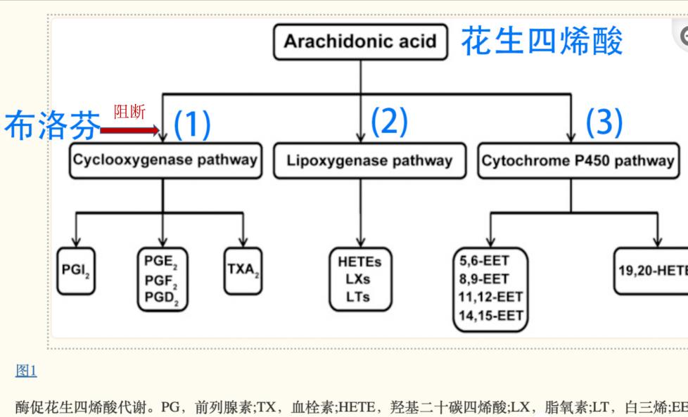 婴儿布洛芬处方药还是非处方药,婴儿布洛芬的副作用及禁忌