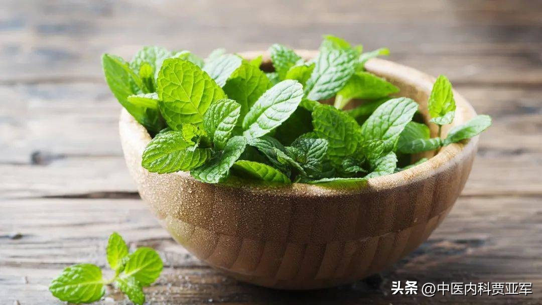 什么叶子可以养生清热去火,健脾祛湿最好的叶子