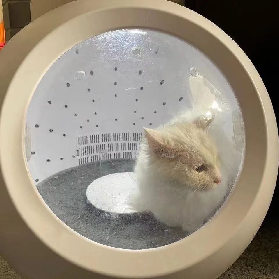 赵明明：上班摸鱼，是我的梦想!