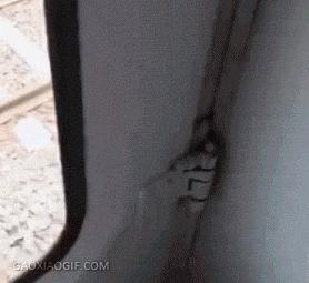 每日gif搞笑趣图,每日gif