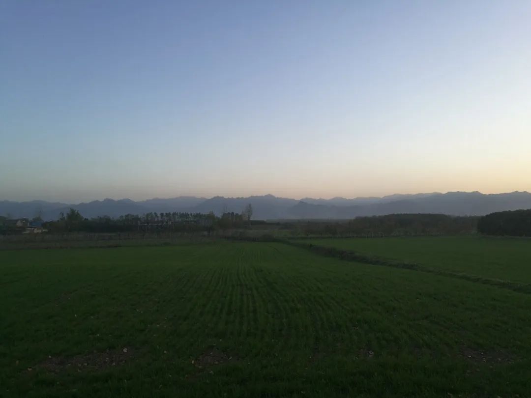 考生榜样：用手铲“发掘”文化千年浪漫的王一凡同学