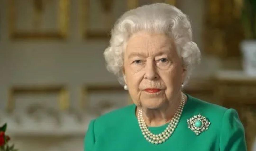 凯特王妃戴的伊丽莎白女王的胸针,伊丽莎白女王的胸针内涵