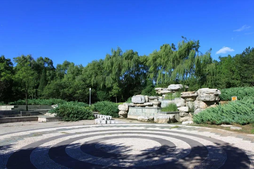 海淀公园相亲小程序,海淀公园相亲角