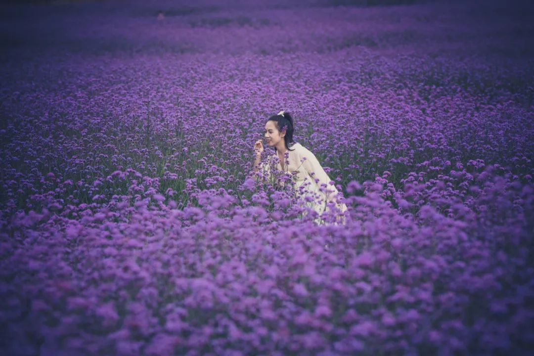 5·19幸福旅程从保山开始丨五一游腾冲,绝美栖花岭:天空之伞+千亩花海+粉色沙滩+福利